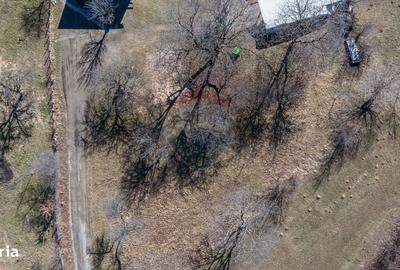 Spațiu comercial, în Predeluț - 5