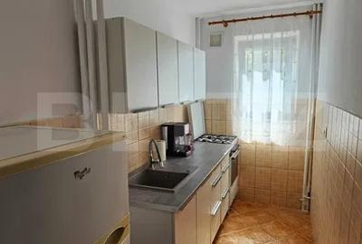 Apartament de inchiriat, cu 2 camere, zona Pod Ros - 3