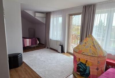 Casa spatioasa cu piscina, crama si teren generos – zona Aurel Vlaicu - 10