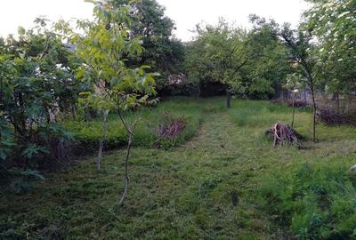 Casă cu 3 camere în Bocșa - 1