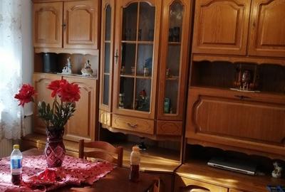 Apartament cu 2 camere semidecomandat în Podgoria - 5