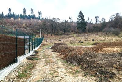 Teren Construcții intravilan de 2000 mp, în Cristian - 2