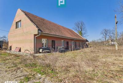 Casă cu 8 camere cu Teren 22919 Mp în Constantin Daicoviciu - 19