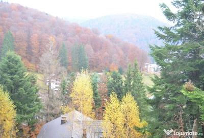 Teren de 1300 mp, în Valea Alba - 6