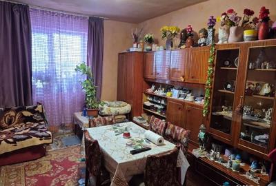 Casă în Pustiniș - 3