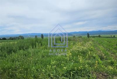 Teren de 2200 mp, în Rădășeni