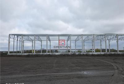 Depozit/hala/spatiu industrial Mogosoaia - Buftea - 2