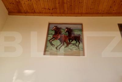 VILA 7 camere 10 min de A3,DN1 - 9