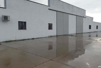 Spațiu comercial, de 6,000 mp, în Episcopia Bihorului - 4