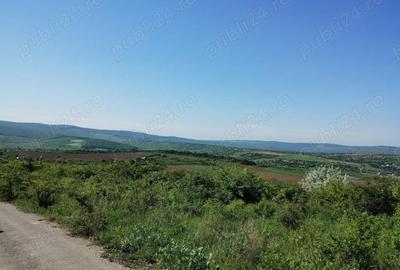 Teren de 350 mp, în Cercu - 8