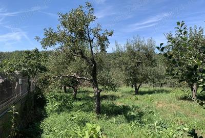 Teren în Boțești - 3