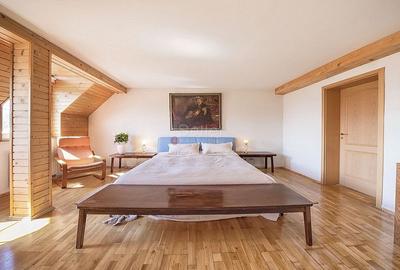 Casa Saseasca cu Caracter Casa Saseasca cu Caracter - 30