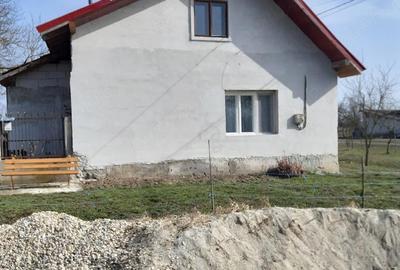 Casă cu 3 camere cu Teren 2877 Mp în Bethausen - 6