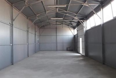 Spațiu comercial, de 120 mp, în Cantemir - 6