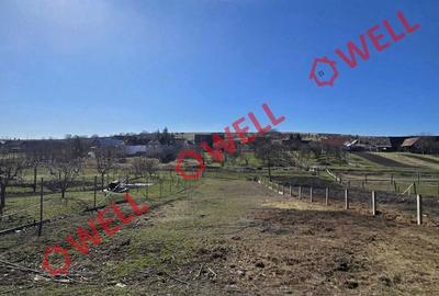 Casă cu 3 camere cu Teren 1211 Mp în Mărtiniș - 2