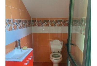 Inchiriere Vila P+1+M in Jilava - 7