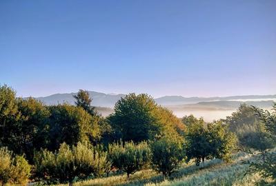 CASĂ (CĂRĂMIDĂ, TENCUIELI  ARGILĂ) - 7