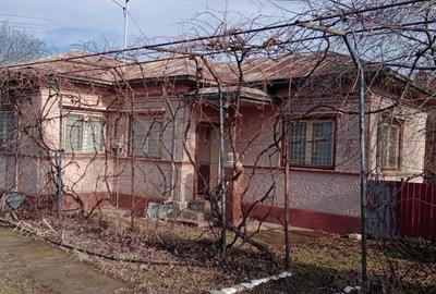 Casă cu 4 camere cu Teren 1200 Mp în Finta - 2