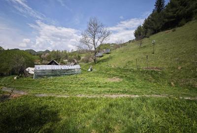 Teren de 2500 mp, în Dâmbovicioara - 4