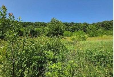 Teren de 2300 mp, în Duda - 11