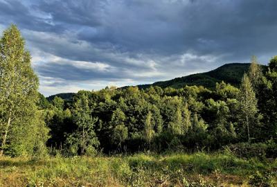 Teren zona Sinca Noua, jud Brasov, comision 0%, plata in 2 rate - 5