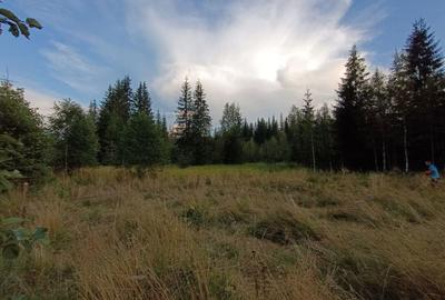 Teren de 2553 mp, în Smida - 8