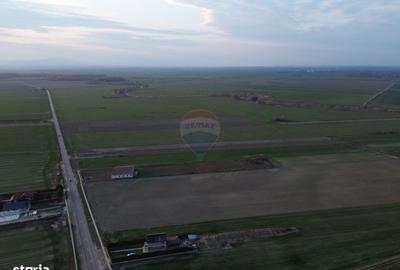 Teren de 12360 mp, în Vulturu - 7