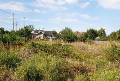 Eren intravilan 1.013 mp, IALOMITA, COSERENI - 1