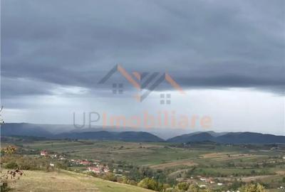Teren de 9341 mp, în Bălnaca - 3