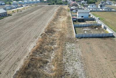 Teren Construcții intravilan de 603 mp, în Dragomirești-Vale - 1