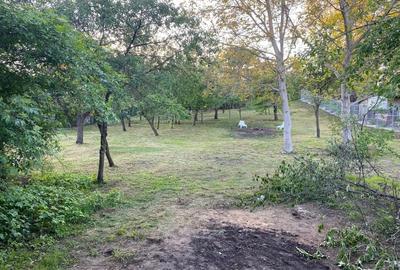Casa cu teren 2105 mp Campina zona rezidențială - 2