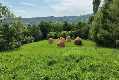Spațiu comercial, în Galmeia - 4