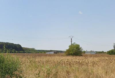 Teren Construcții intravilan de 9680 mp, în Snagov - 2