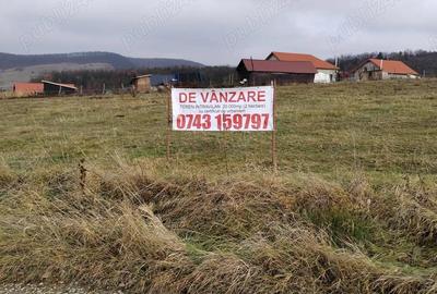 Teren de 21000 mp, în Nord - 4