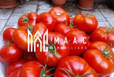 Casă cu 4 camere cu Teren 60000 Mp în Central - 6