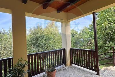 Casă cu 5 camere cu Teren 3026 Mp în Izvoarele - 5