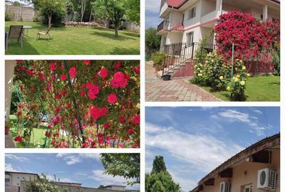 Vila 546 mp, teren 2000 mp si spatii de afacere, Magurele, Ilfov - 18