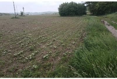 Teren de 15000 mp, în Șendriceni - 2