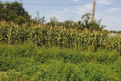 Casă cu 4 camere în Central - 4