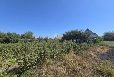 Casa cu piscina, 3450 Mp suprafata teren, Albesti, Mures - 23