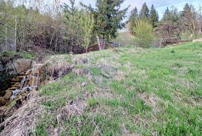 Teren Construcții intravilan de 941 mp, în Hangu - 32