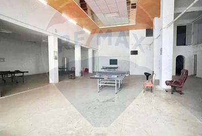 Spațiu comercial, de 501 mp, în Teiul Doamnei - 7