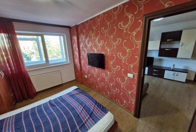 Apartament cu 2 camere decomandat în Parcul Circului - 10