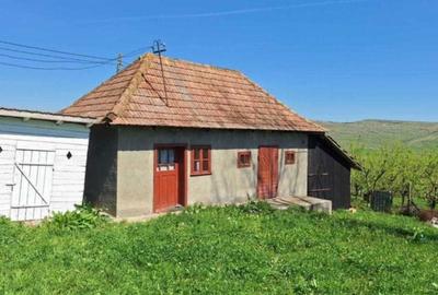 Casă cu 2 camere în Vale - 4