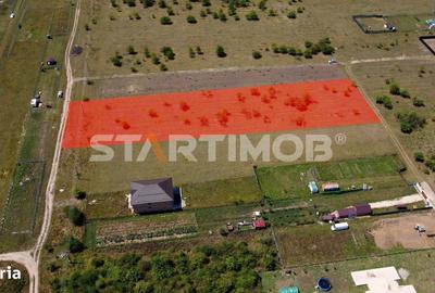 Teren de 2900 mp, în Sânpetru - 8