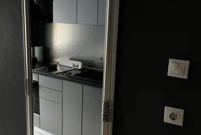 Inchiriez ap 1 camera - 3