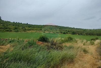 Teren de 18200 mp, în Reghin - 3