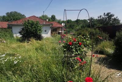 Casa individuala cu gradina frumoasa, teren mare Moldovenesti-Cluj - 2