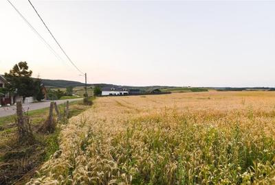 RECO Teren intravilan pentru casa  Lazareni - 12