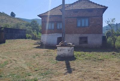 Casă cu 3 camere în Poieni (Densuș) - 5